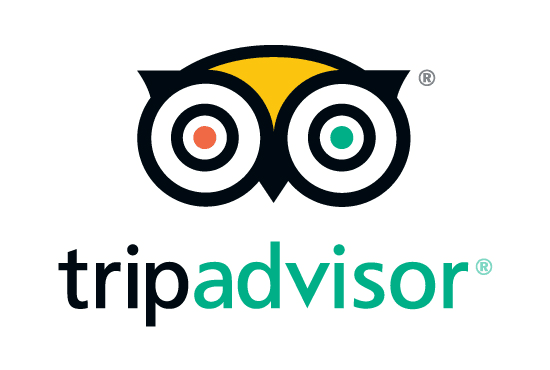 the logo for tripadvisor.