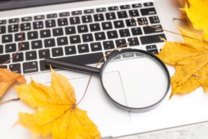 Search Engine Reputation Management